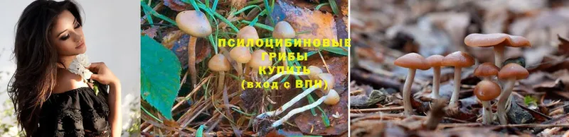 Псилоцибиновые грибы Magic Shrooms  Биробиджан 